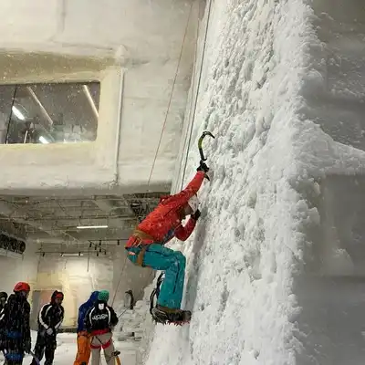 魏慧龙